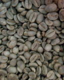 Tim_Tim Coffee Beans